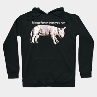 I sleep faster than you run, bullterrier, funny dog Hoodie